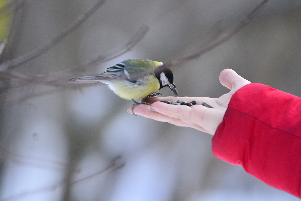 Pavel Kashaev/Global Look Press 