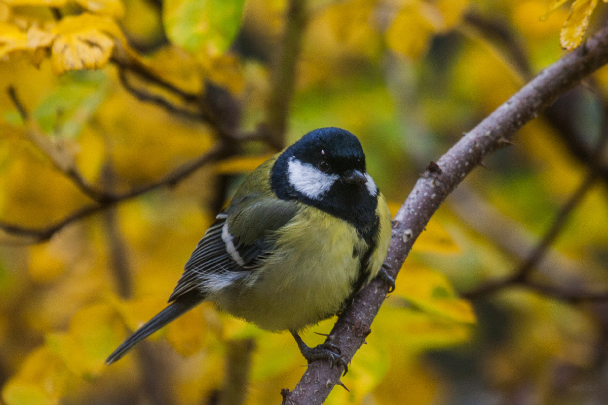 Bulkin Sergey/news.ru/Global Look Press 