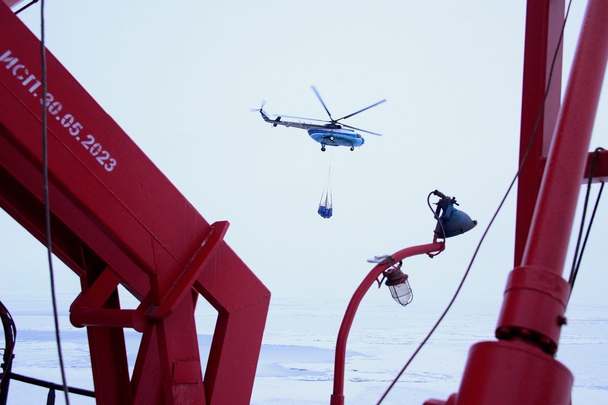 Фото: Заповедник "Остров Врангеля" 