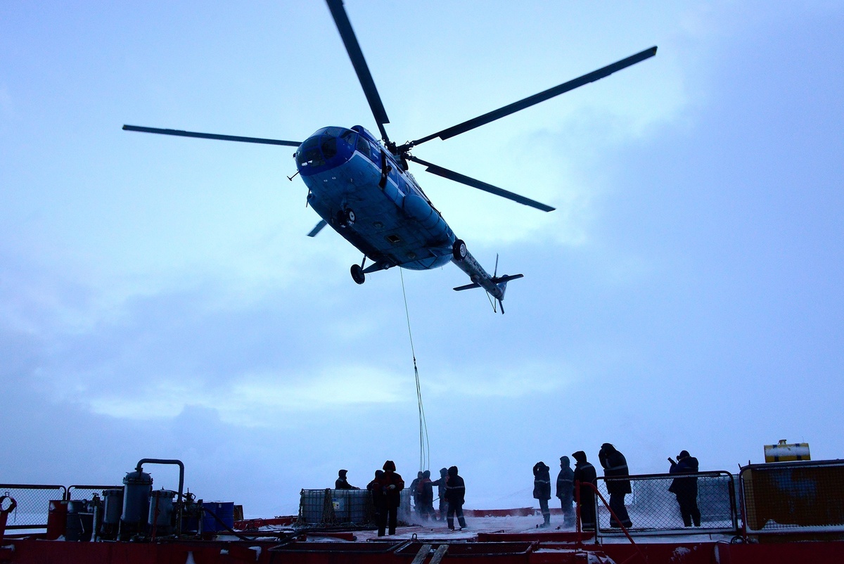 Фото: Заповедник "Остров Врангеля" 
