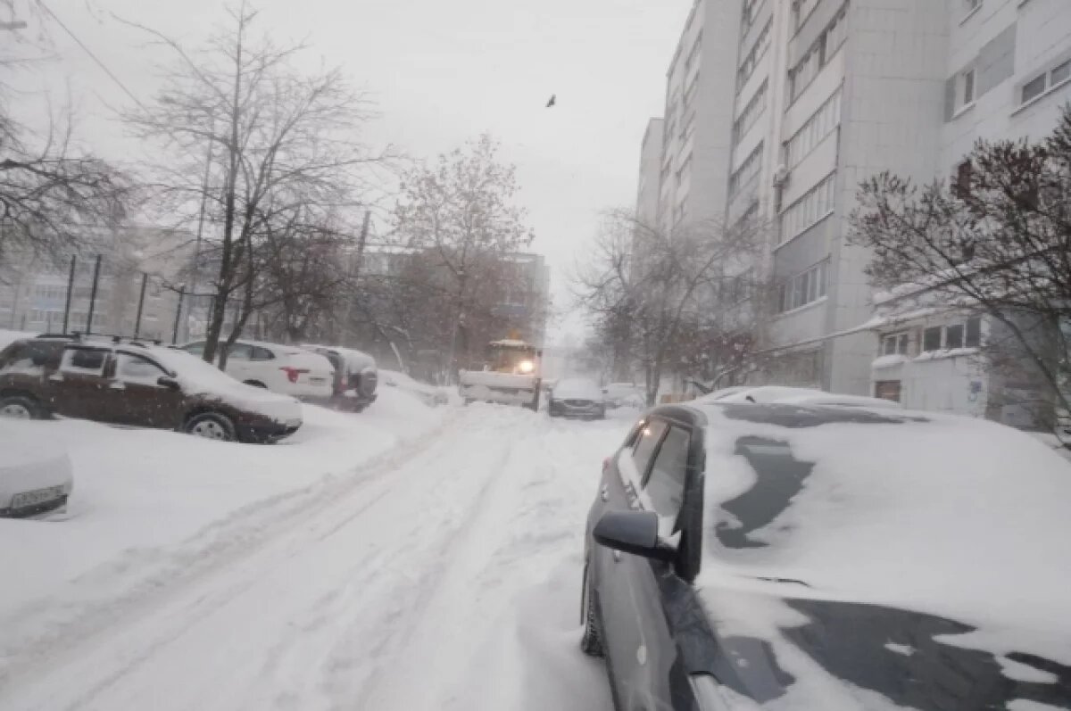    На Алтае 11 и 12 ноября продлятся метели с порывистым ветром