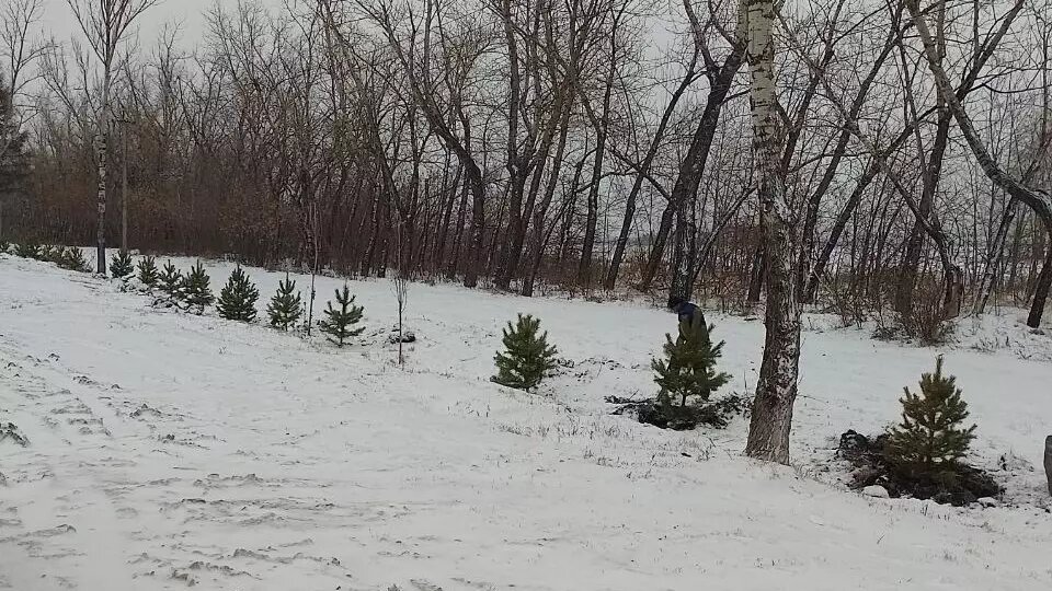     Источник: Мэрия Челябинска