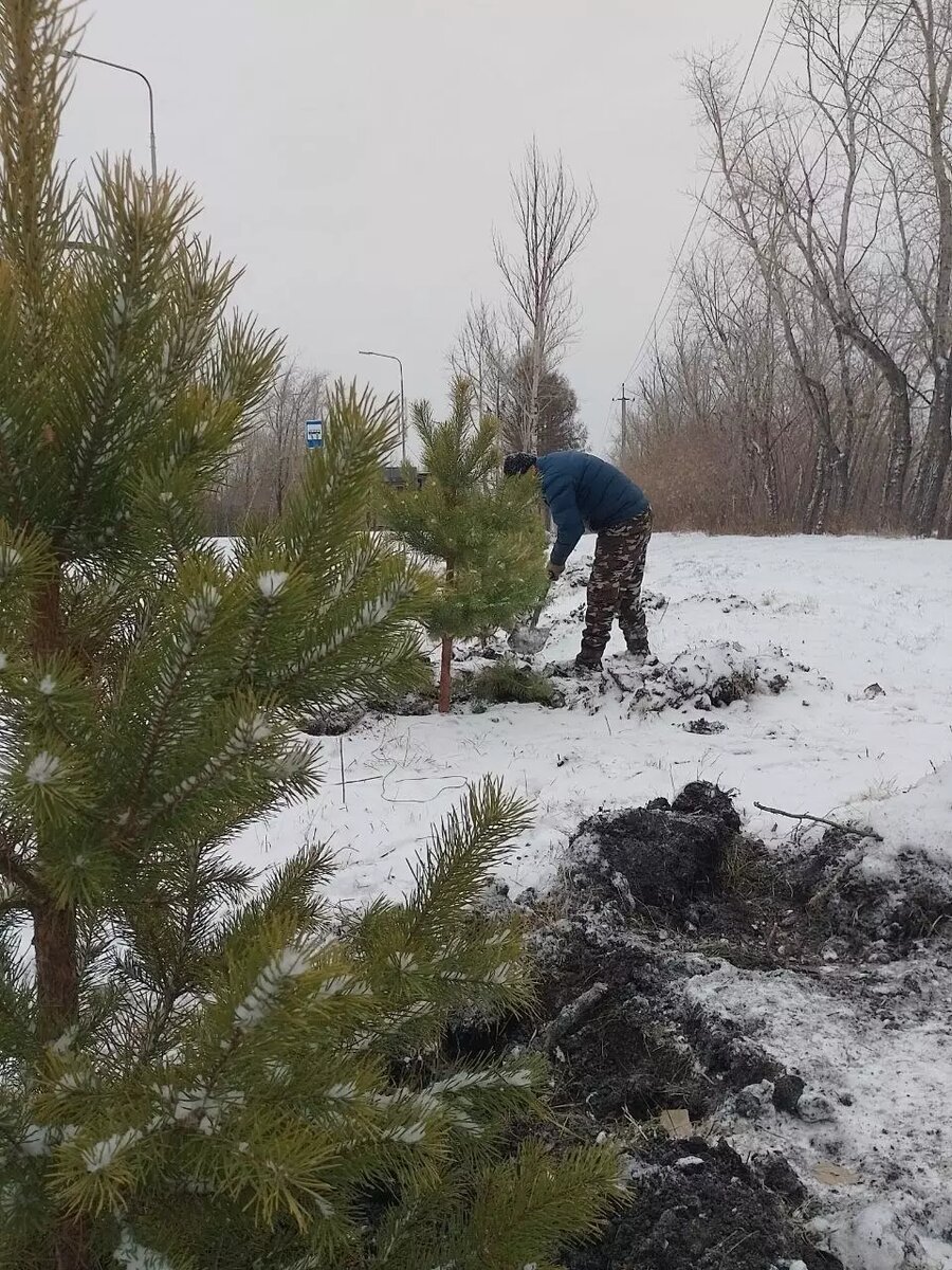     Источник: Мэрия Челябинска