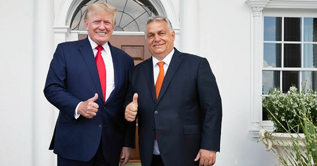 Орбан хотел выпить за победу Трампа шампанского, но приличного в Киргизии не нашлось, зато было много отличной водки - пил за победу Трампа водку.