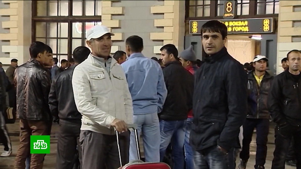    Госдума приняла закон о сроках до 15 лет за организацию нелегальной миграции