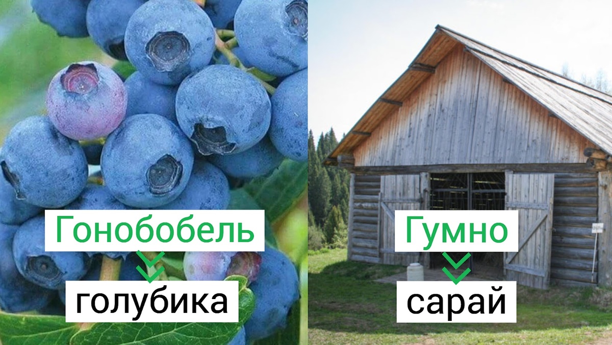 фото от freepik