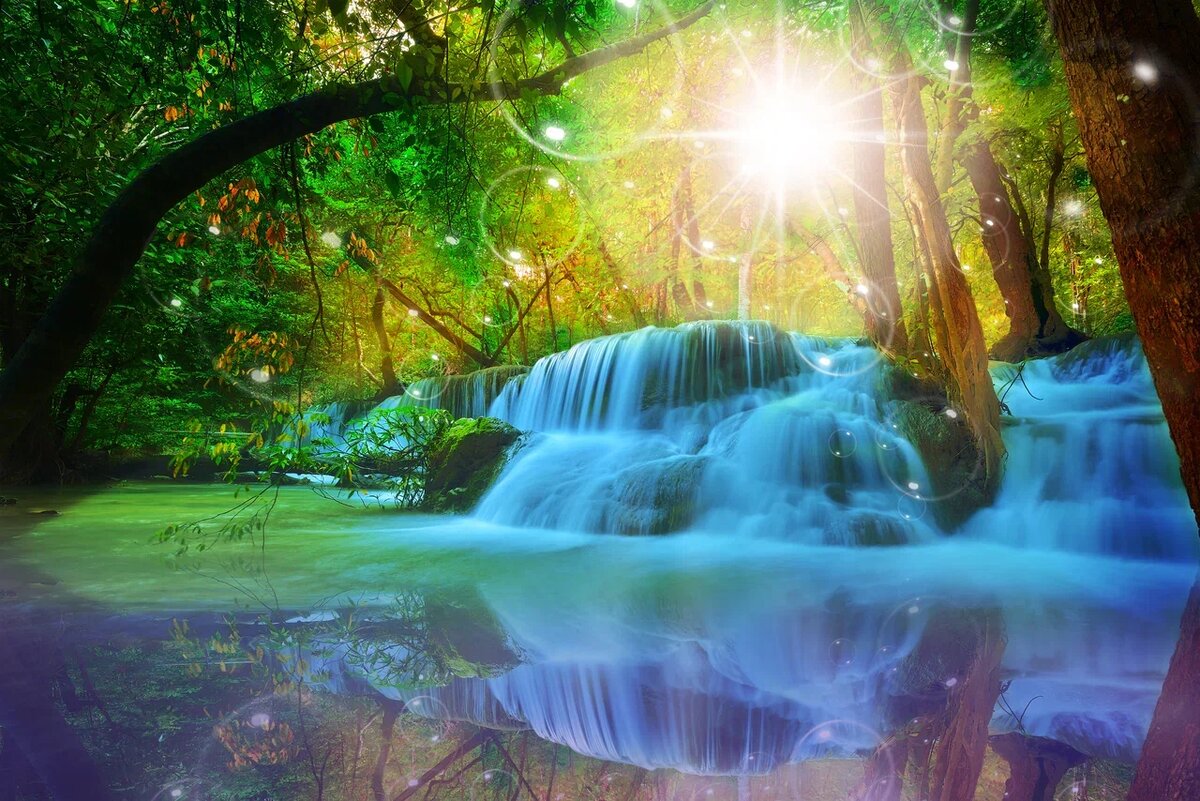    iPiCfootage\shutterstock