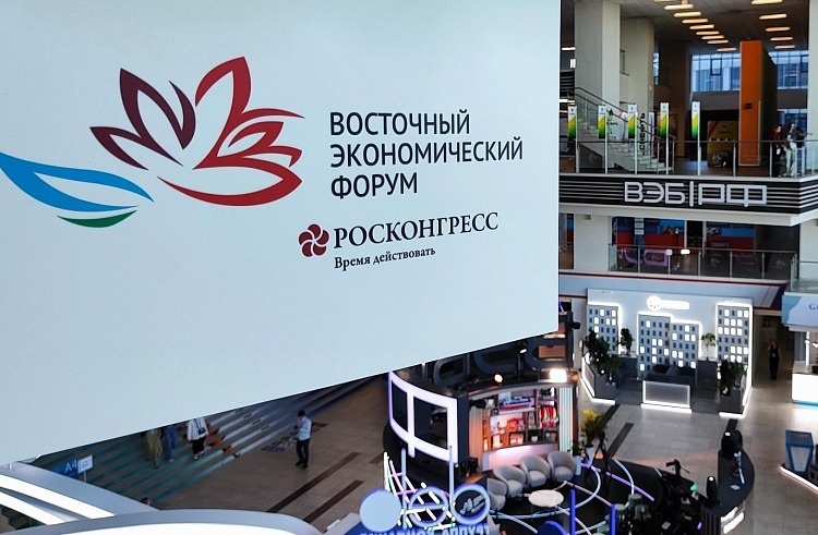     Источник: Правительство Приморского края