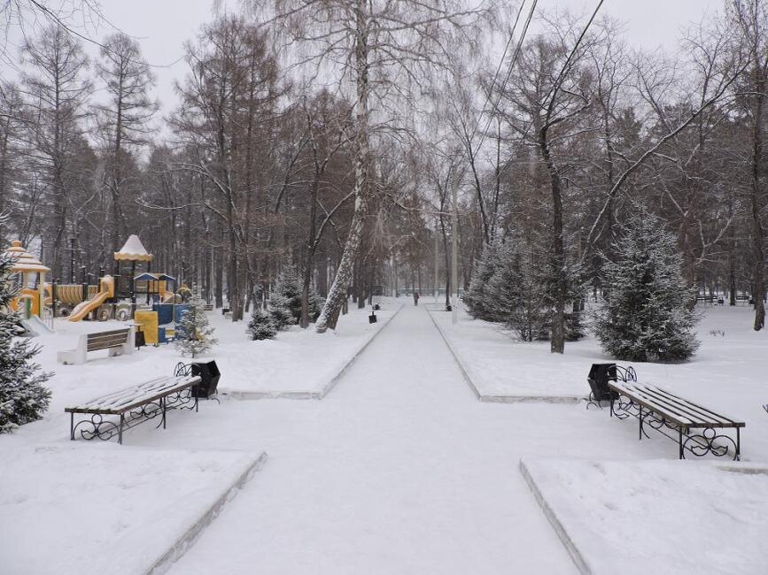    Снег, переменная облачность: погода недели. Фото Анны Зубаревой