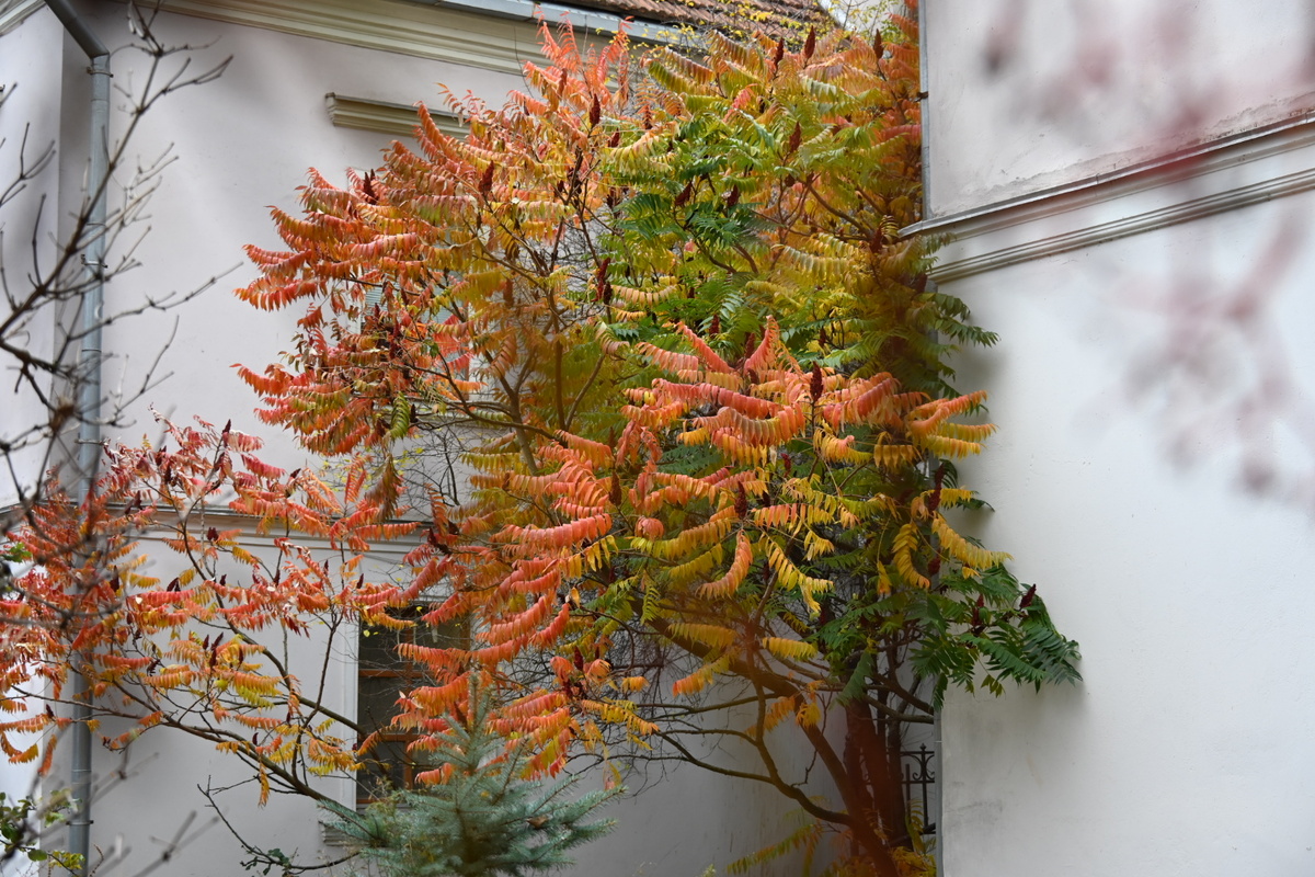 Фото к теме отношения не имеет