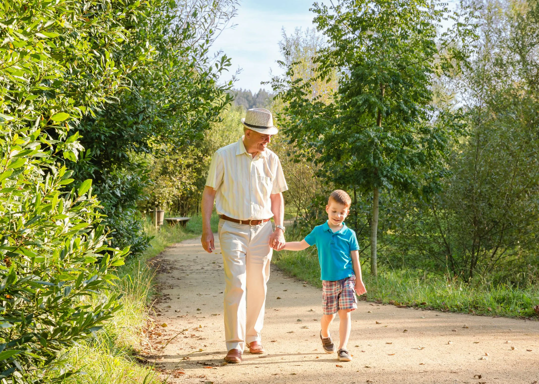 Яндекс картинки
