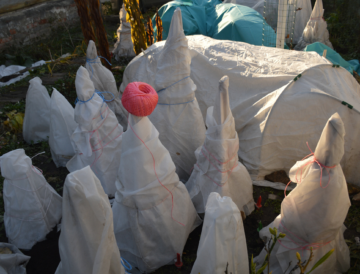 Попрятались на зиму!