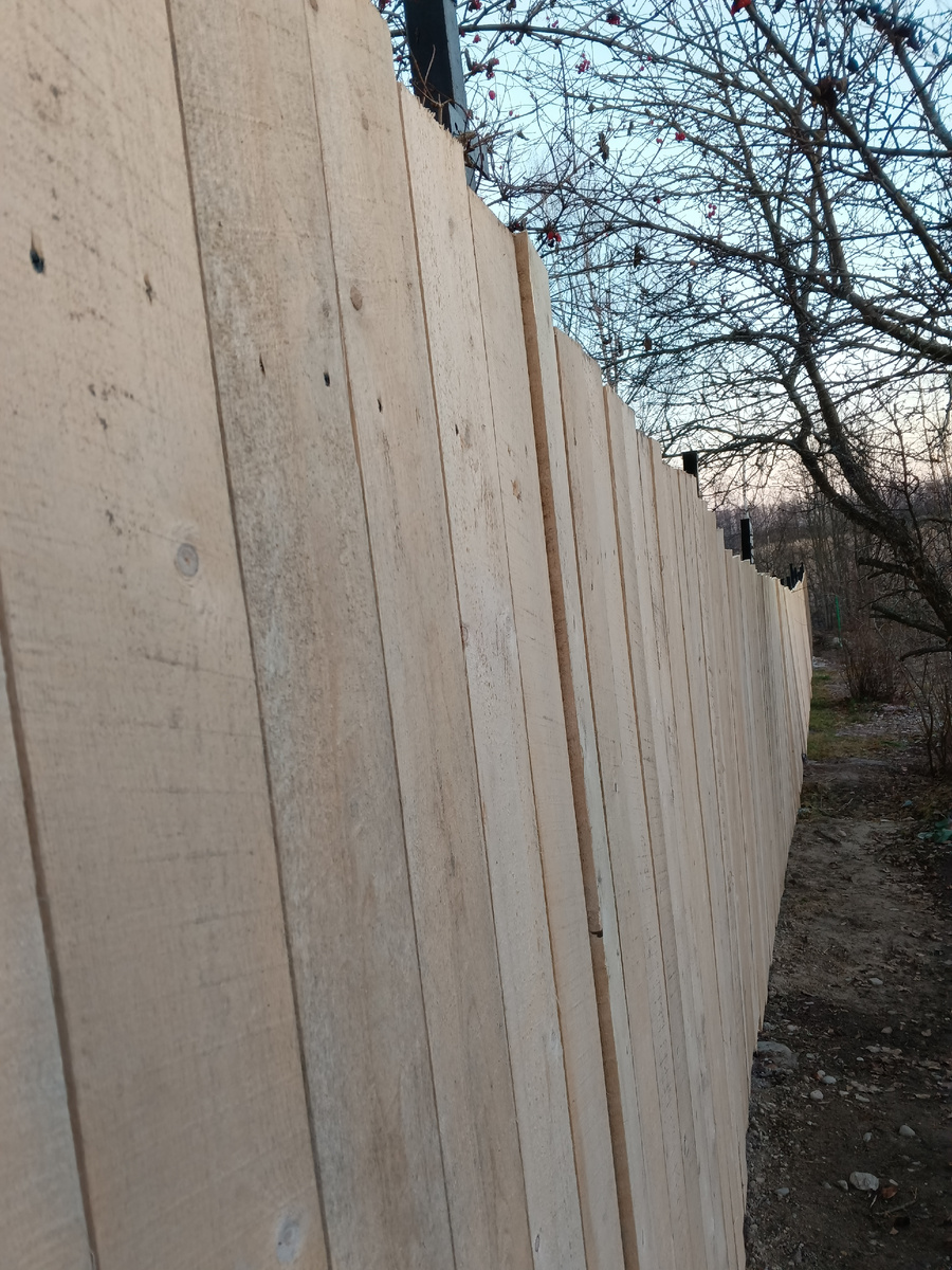 фото автора' так выглядит забор