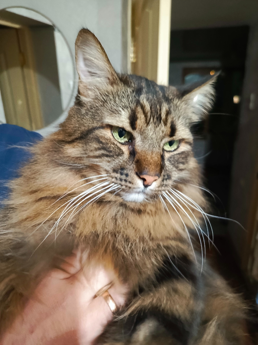 Недовольный Кузя