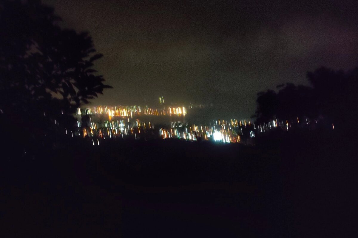 Ночные шарахания в кустах