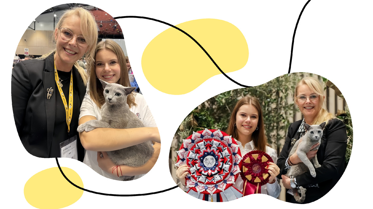 Почёт, уважение и розетки. Фото: Kingdom of Cats