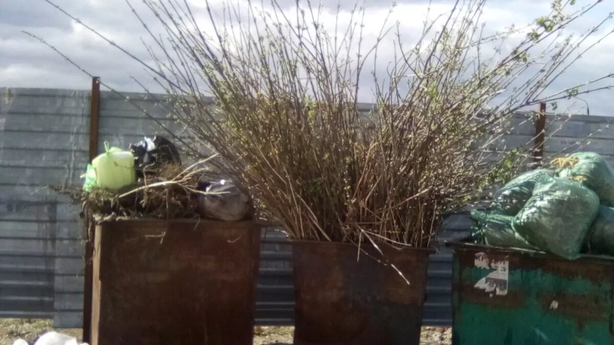     Источник: Администрация Долгодеревенского поселения