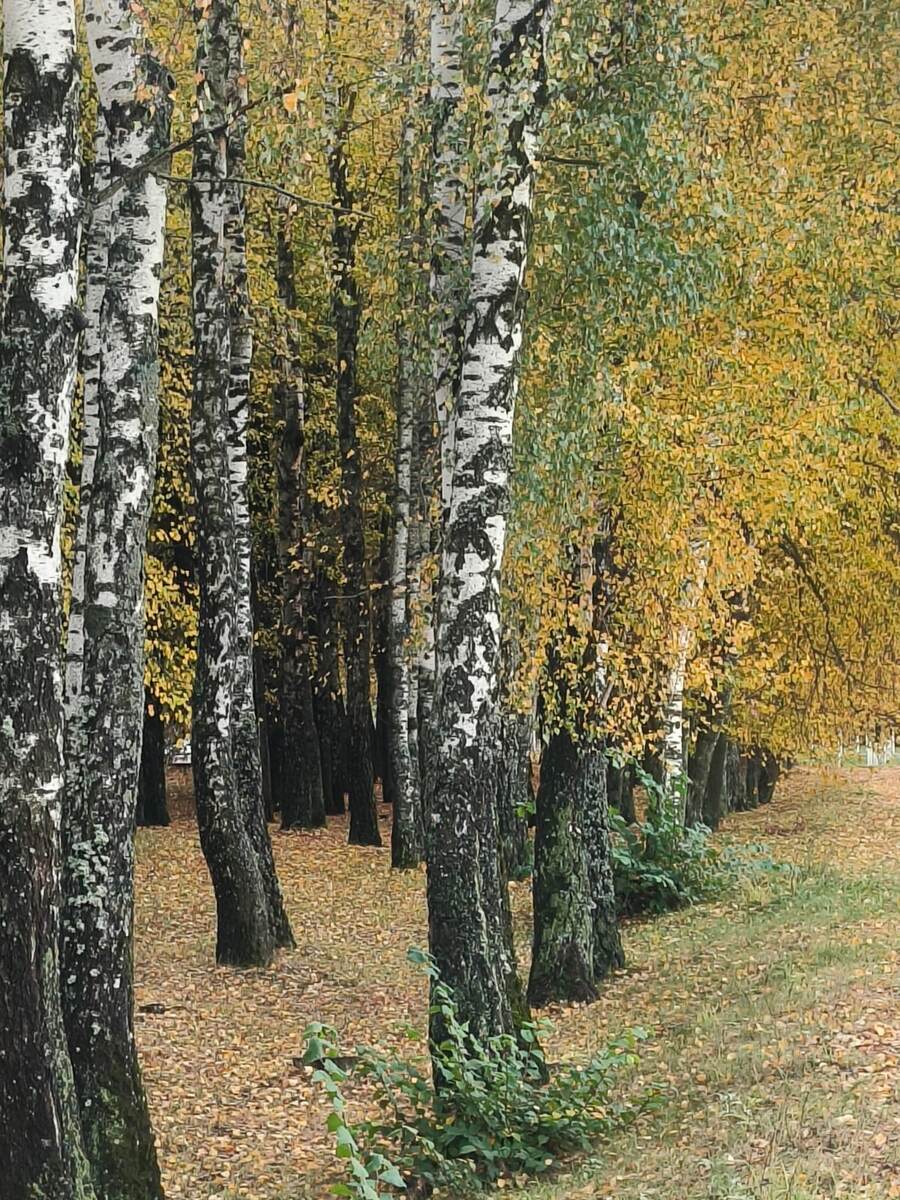 Фото Людмилы Комогорцевой