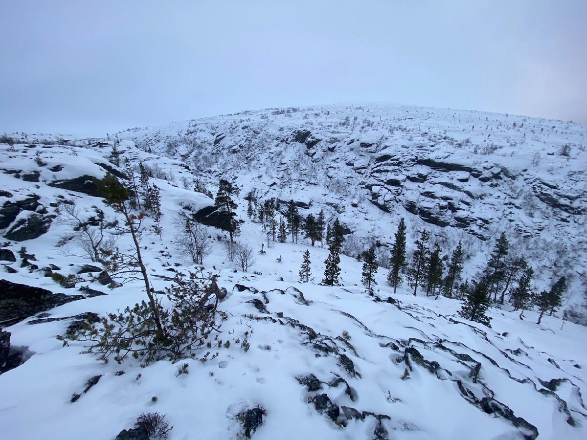 Типичная хибинская погода в начале ноября. Поход в ущелье Крест 11.11.2023