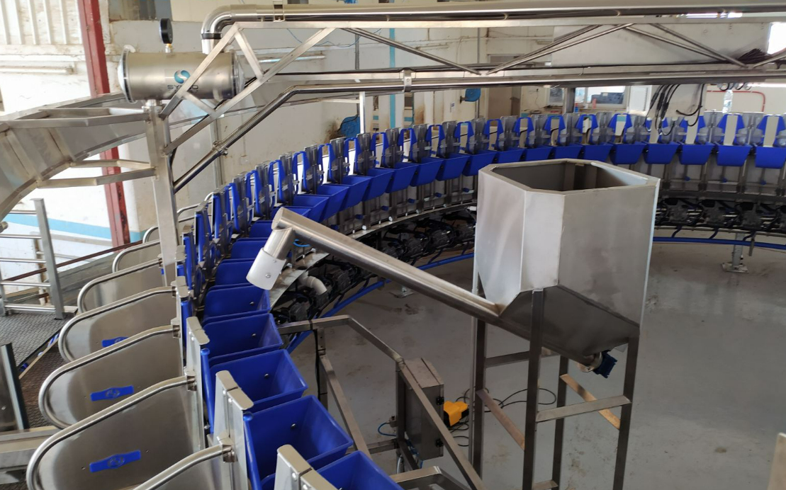 Доильный зал для МРС Sylco из нержавеющей стали