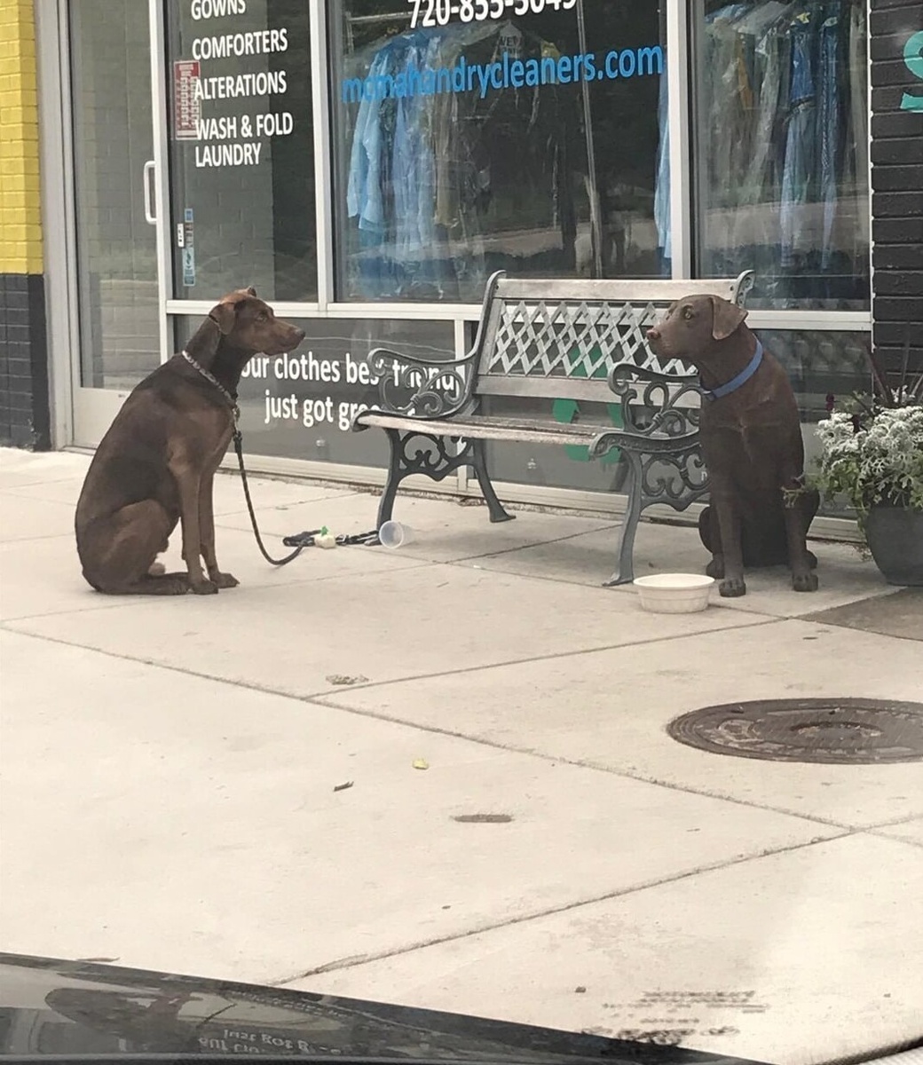 Источник: redd.it