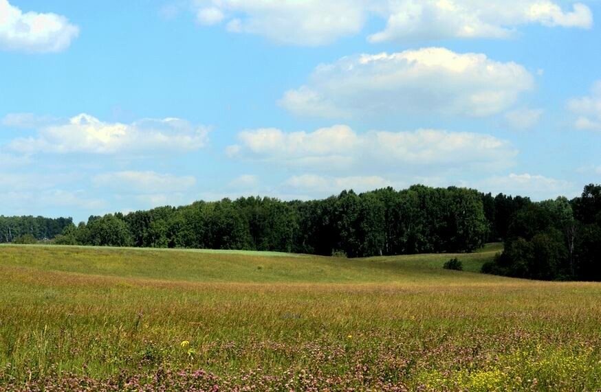 
Источник фото: © сайт Министерства экологии и природных ресурсов РТ