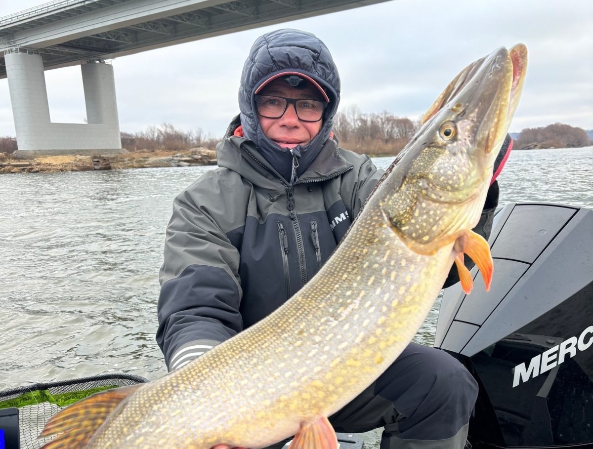    Депутат сразу же отпустил пойманную рыбу в воду