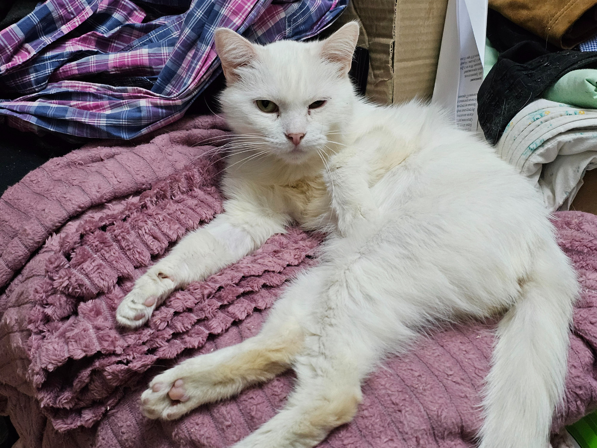 Тимоша сейчас