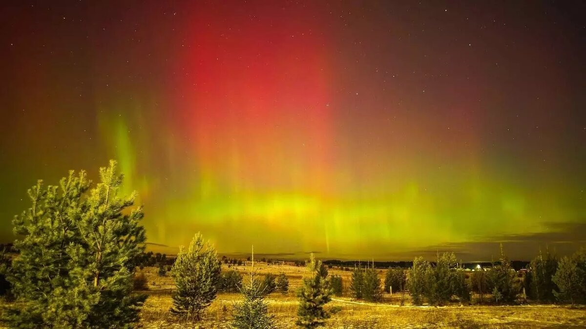     Источник: vc.kom/ЧП ДТП Удмуртия