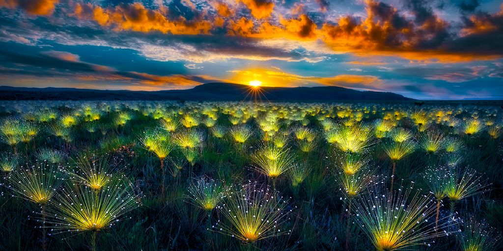 "Фейерверк" Марсио Кабрала-первое место в природном пейзаже