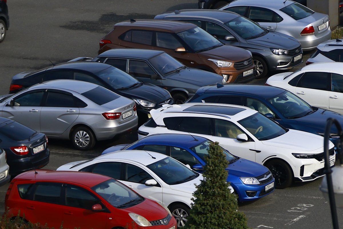 Автор фото: Павел Хацаюк/ИД «Вечерняя Казань» 