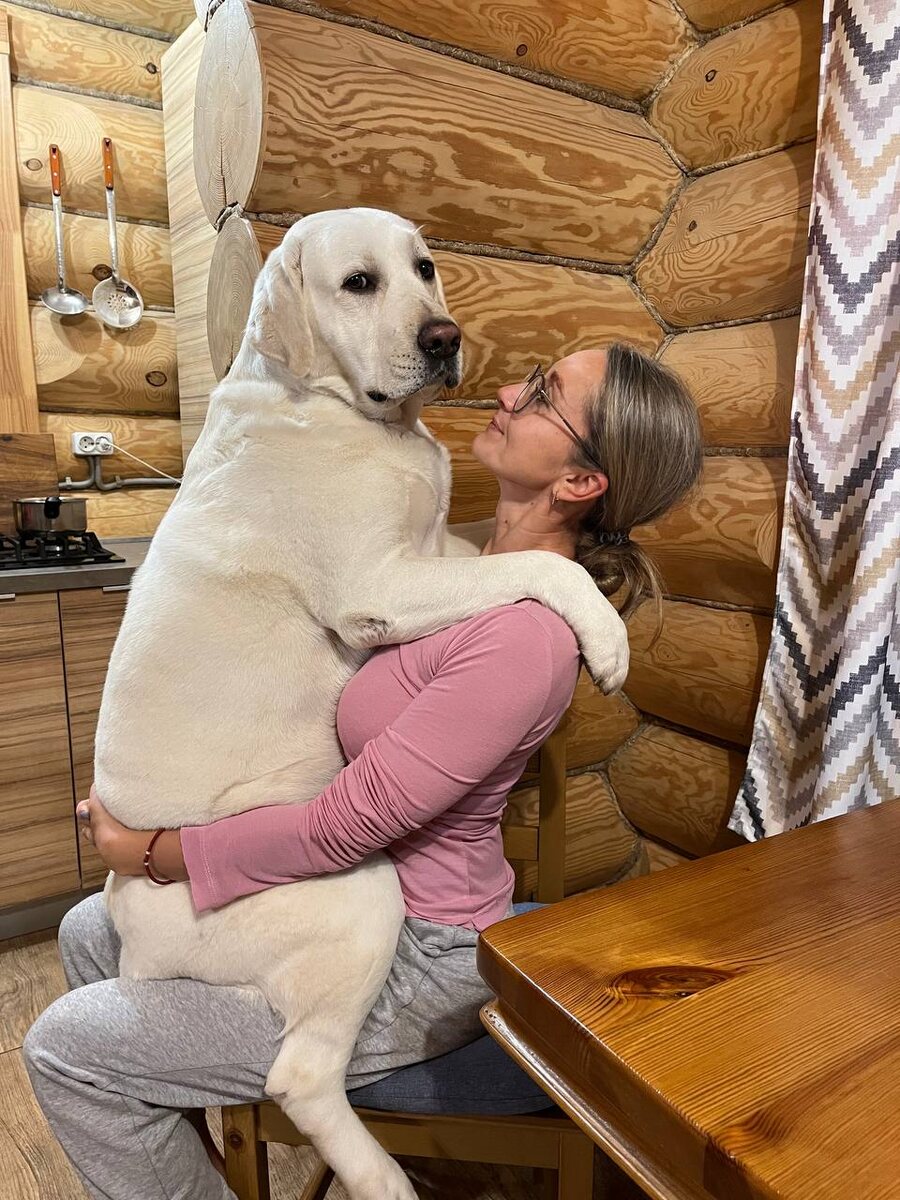 Валнериз Марсель Дассо на руках у любимой хозяйки