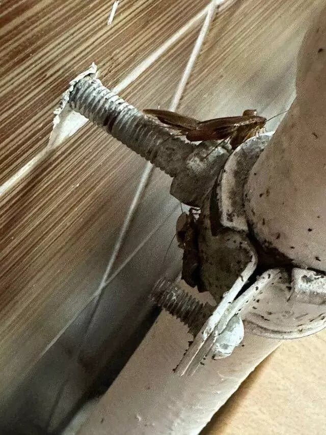     Источник: Тюмень №1