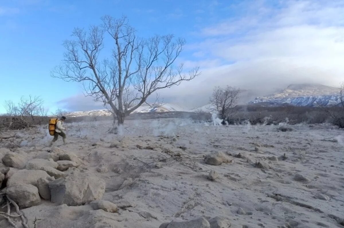    Для жителей Камчатки организуют профосмотры после извержения Шивелуча