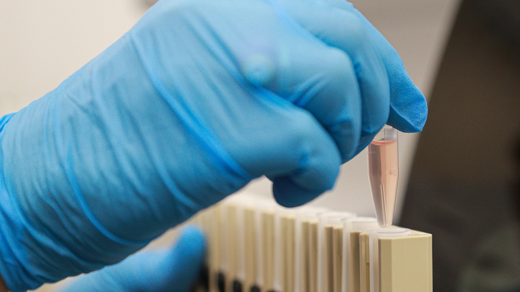    Bulkin Sergey/news.ru