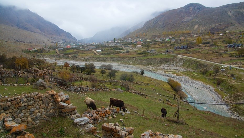    Автор фото: Дмитрий Даниленко
