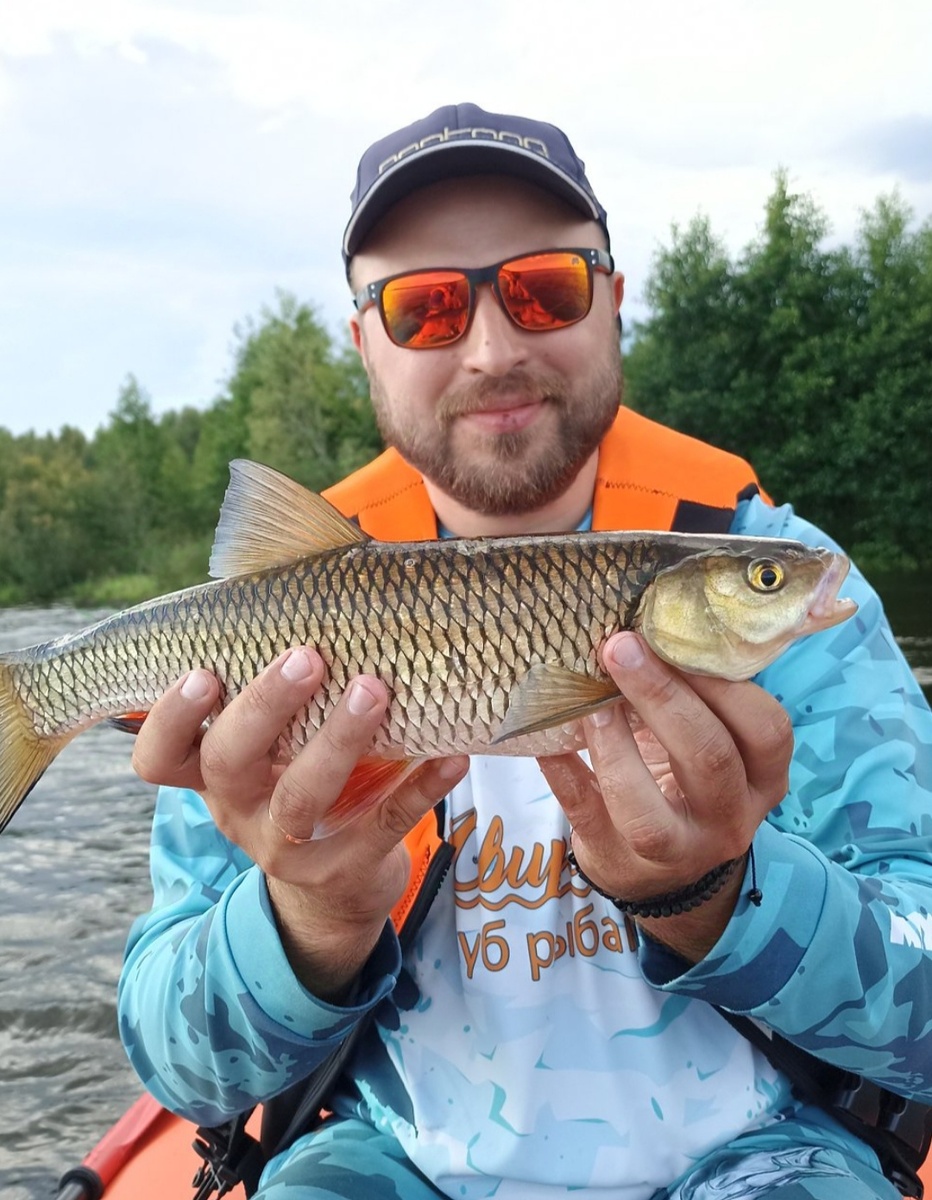 Свирский голавль