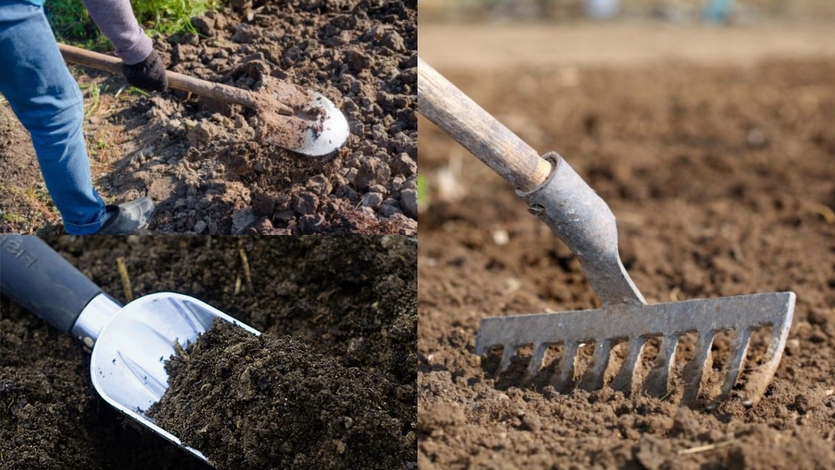 Наглядное сравнение структуры почвы при разных методах обработки