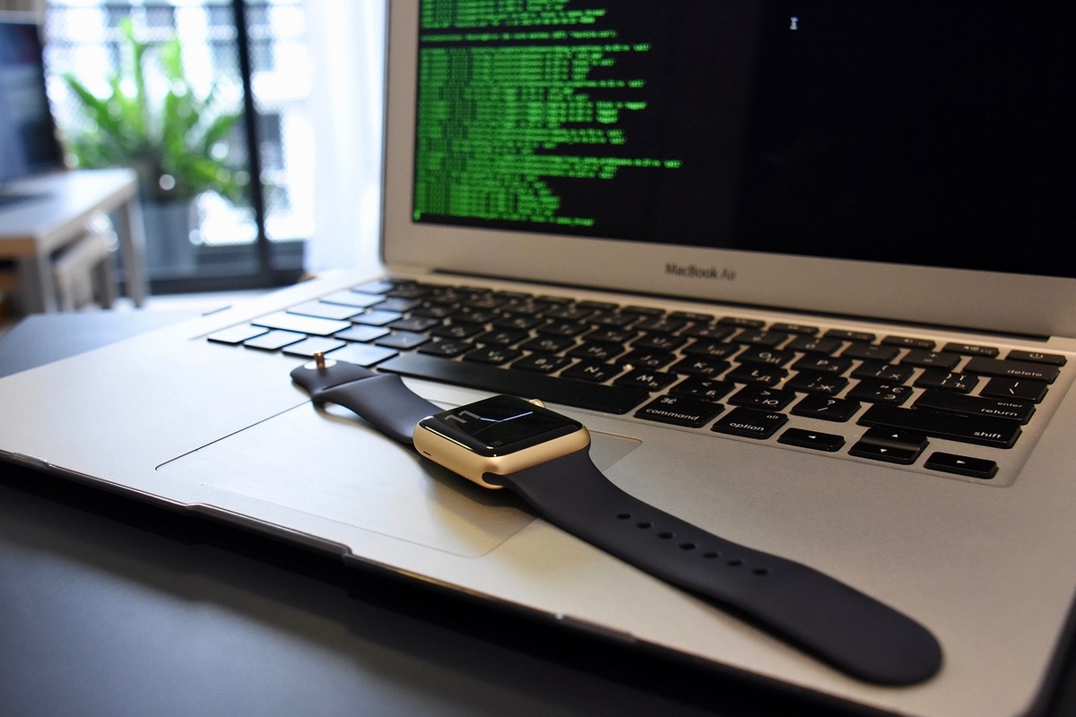 Источник: pixabay.com