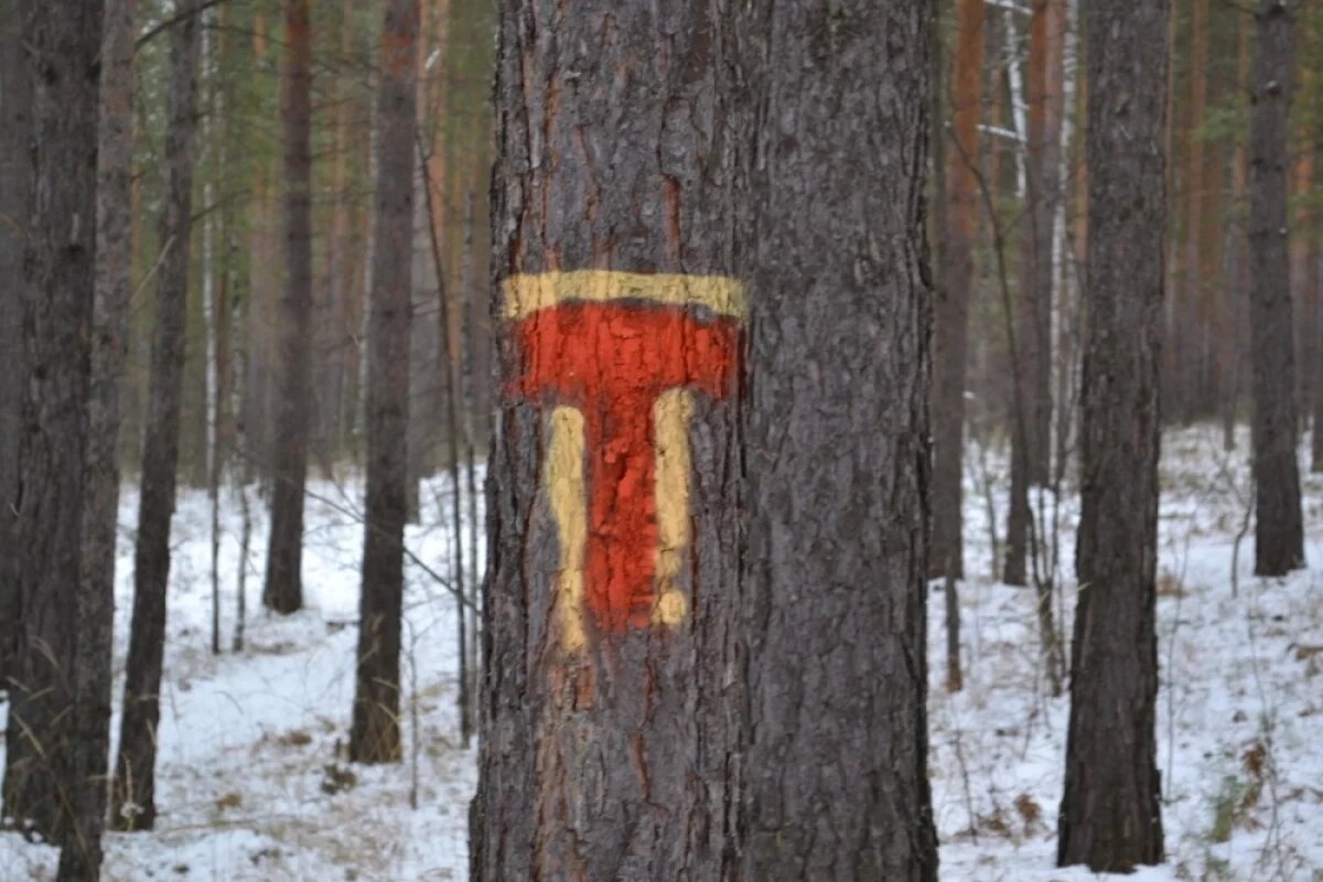    Туристическую тропу на вершину горы Ицыл открыли в Челябинской области