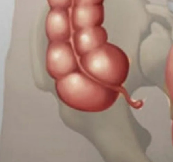 Изображение из свободного доступа