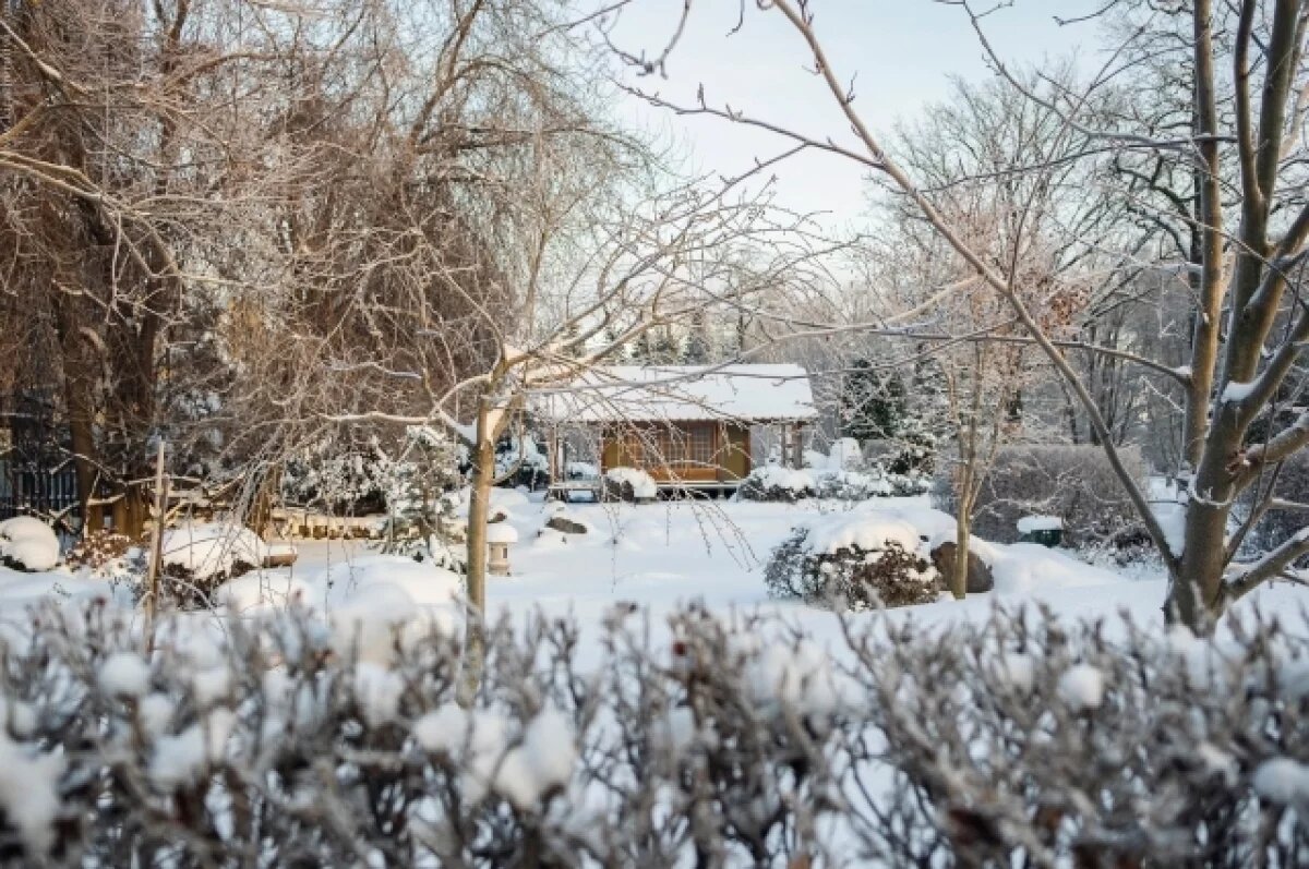    Ботанический сад в Петербурге изменил летний график работы на зимний