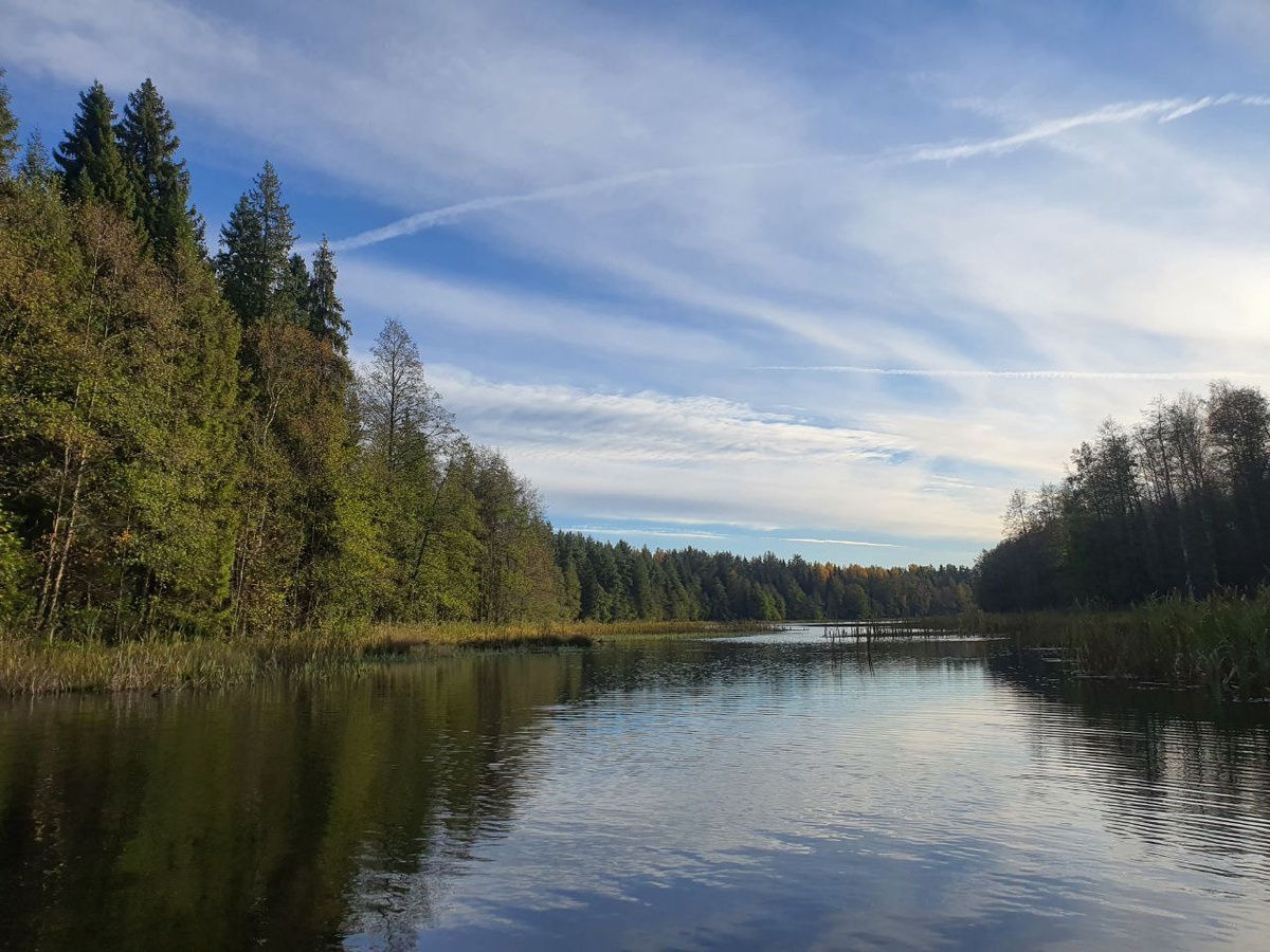 Фото Дирекции ООПТ Владимирской области. 