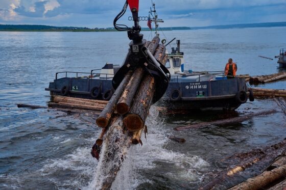     Фото: Segezha Group