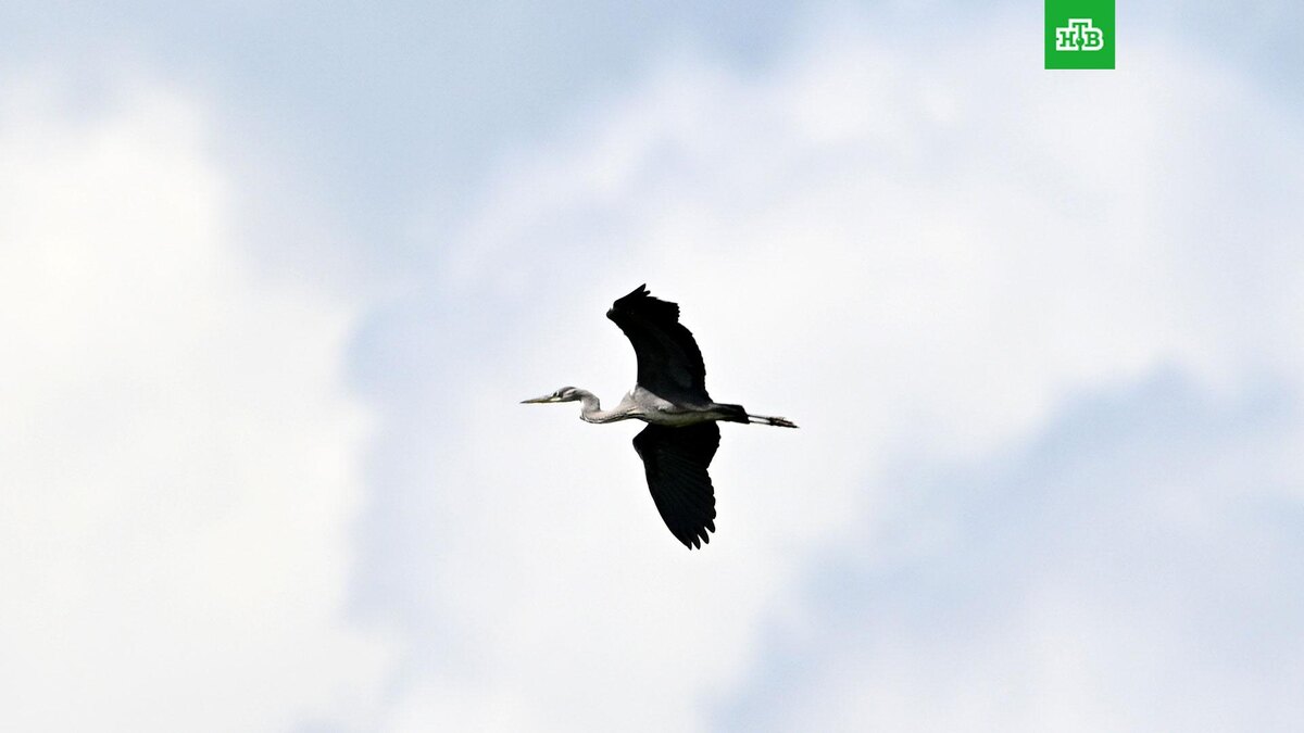    Фото: РИА Новости © 2024, Павел Бедняков