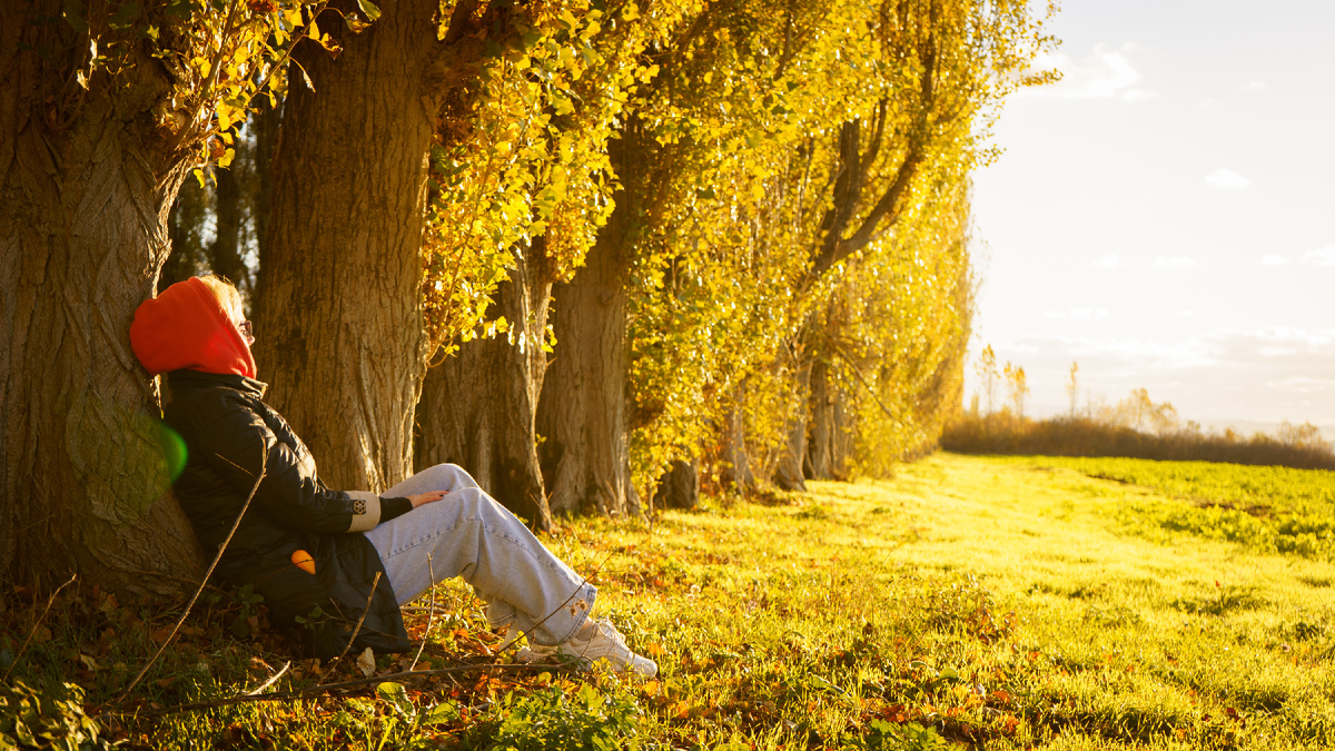 Осенняя фотография 