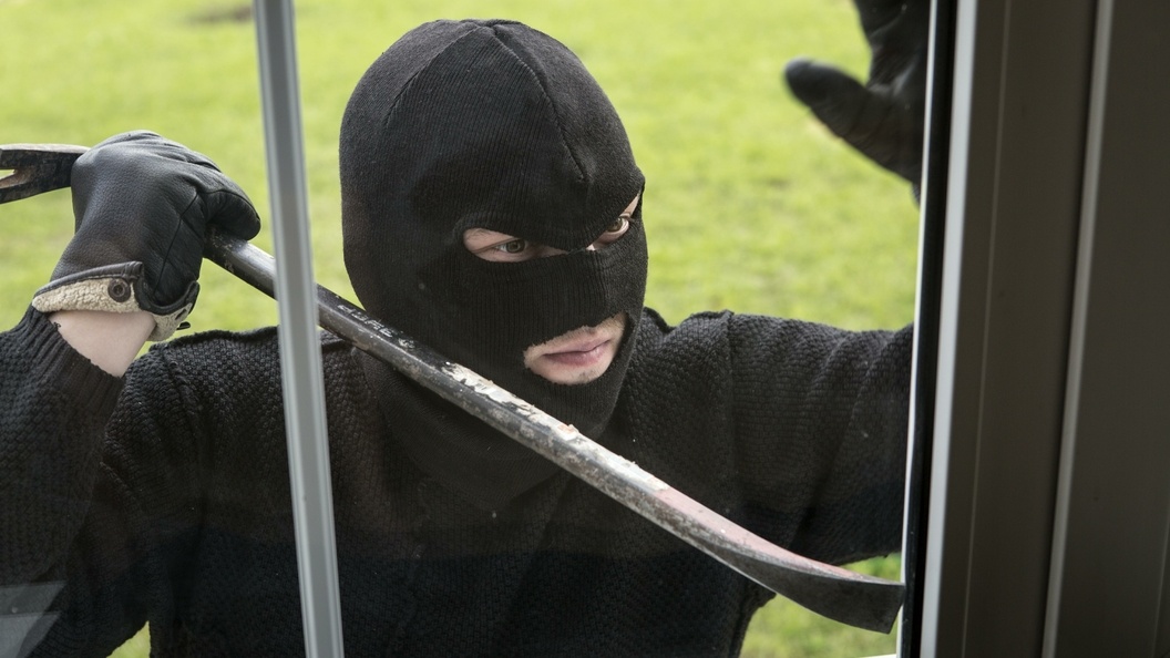    Nikolay Gyngazov/Global Look Press