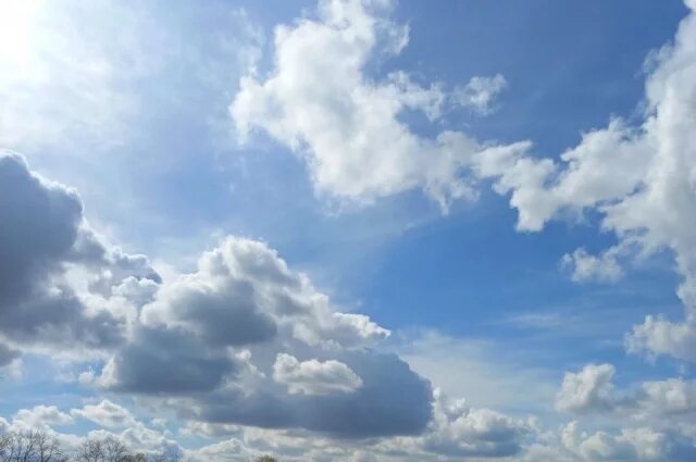    К чему привело падение обломков БПЛА на предприятие в Воронеже?