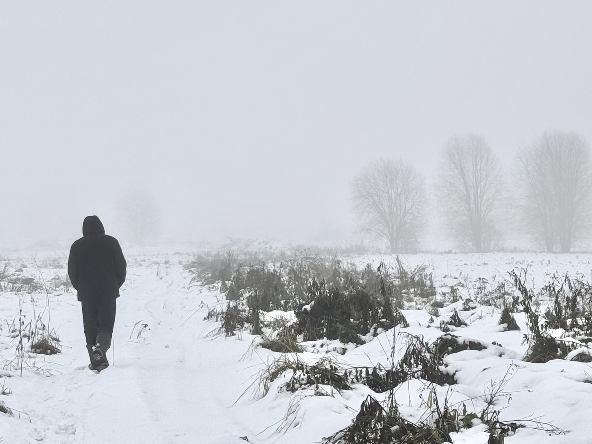 Пятое ноября. На следующий день снег исчез 