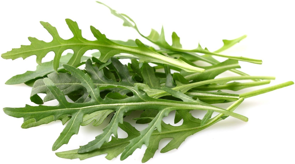 ЛИСТЬЯ РУКОЛЫ